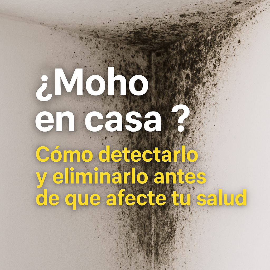 ¿Moho en casa? Cómo detectarlo y eliminarlo antes de que afecte tu salud